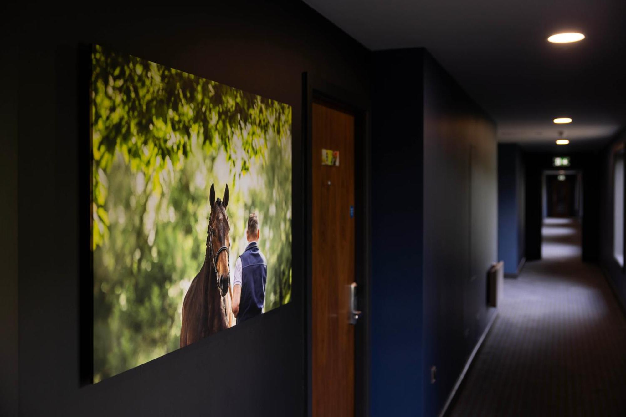 The Club Hotel At Goffs Naas Eksteriør bilde